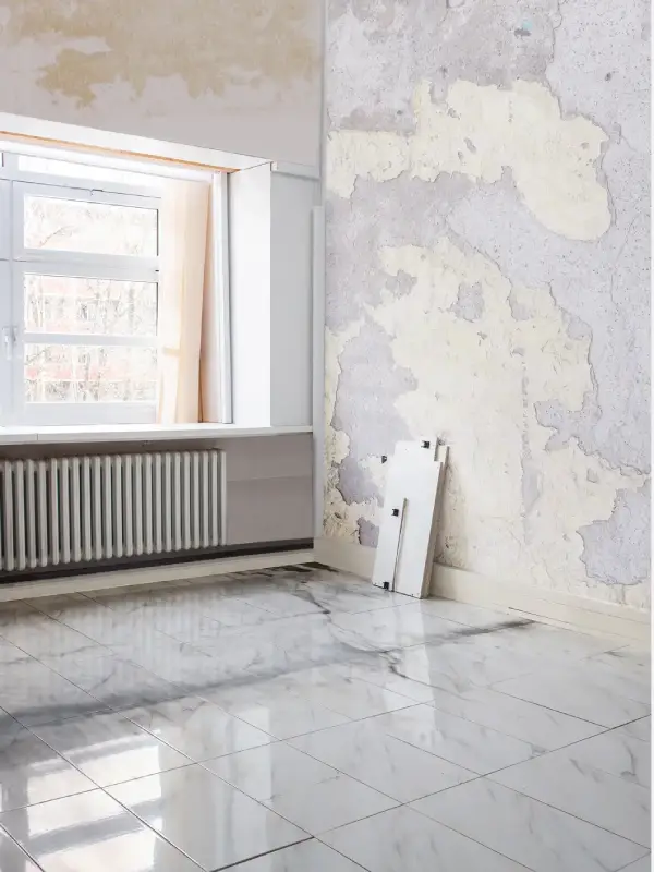 Professional Remodeling Services